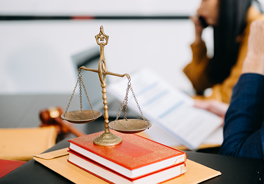 NSW Law Reform